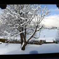 Aussicht G H Baumgarten Winter 42